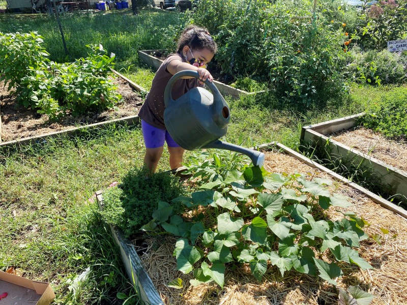 Girl watering a garden