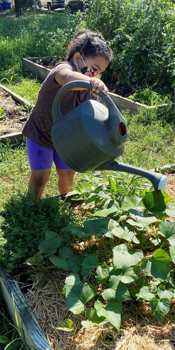 Girl watering a garden