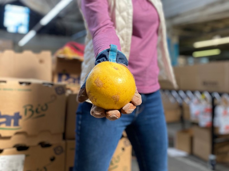 Woman holding an orange